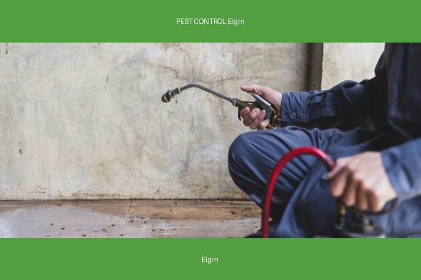 PEST CONTROL Elgin